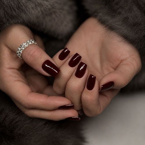 Dark burgundy short set